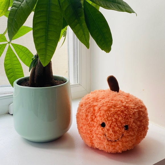 New Amusable Thankful Plush Pumpkin - Picture 1 of 7